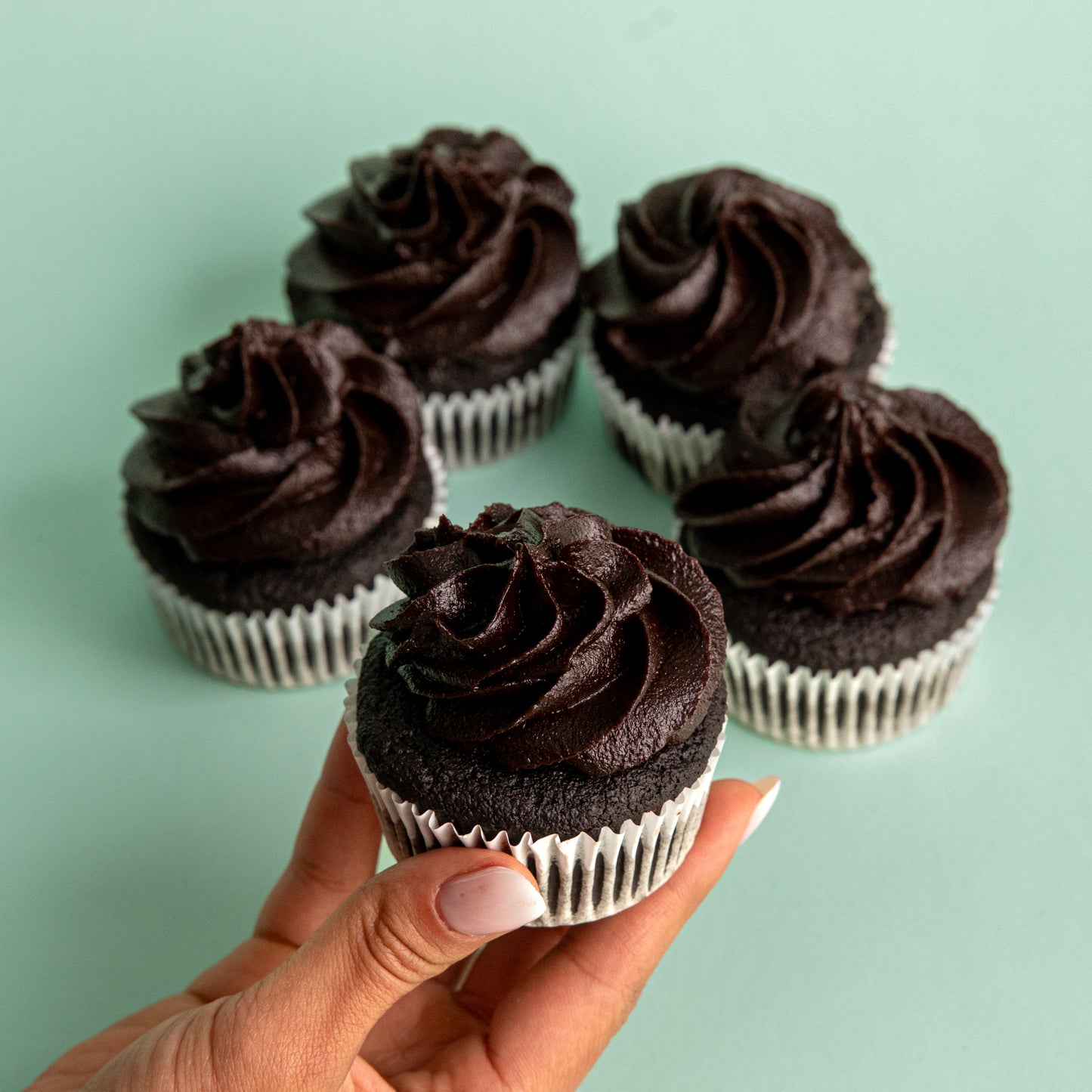 Chocolate Cupcakes