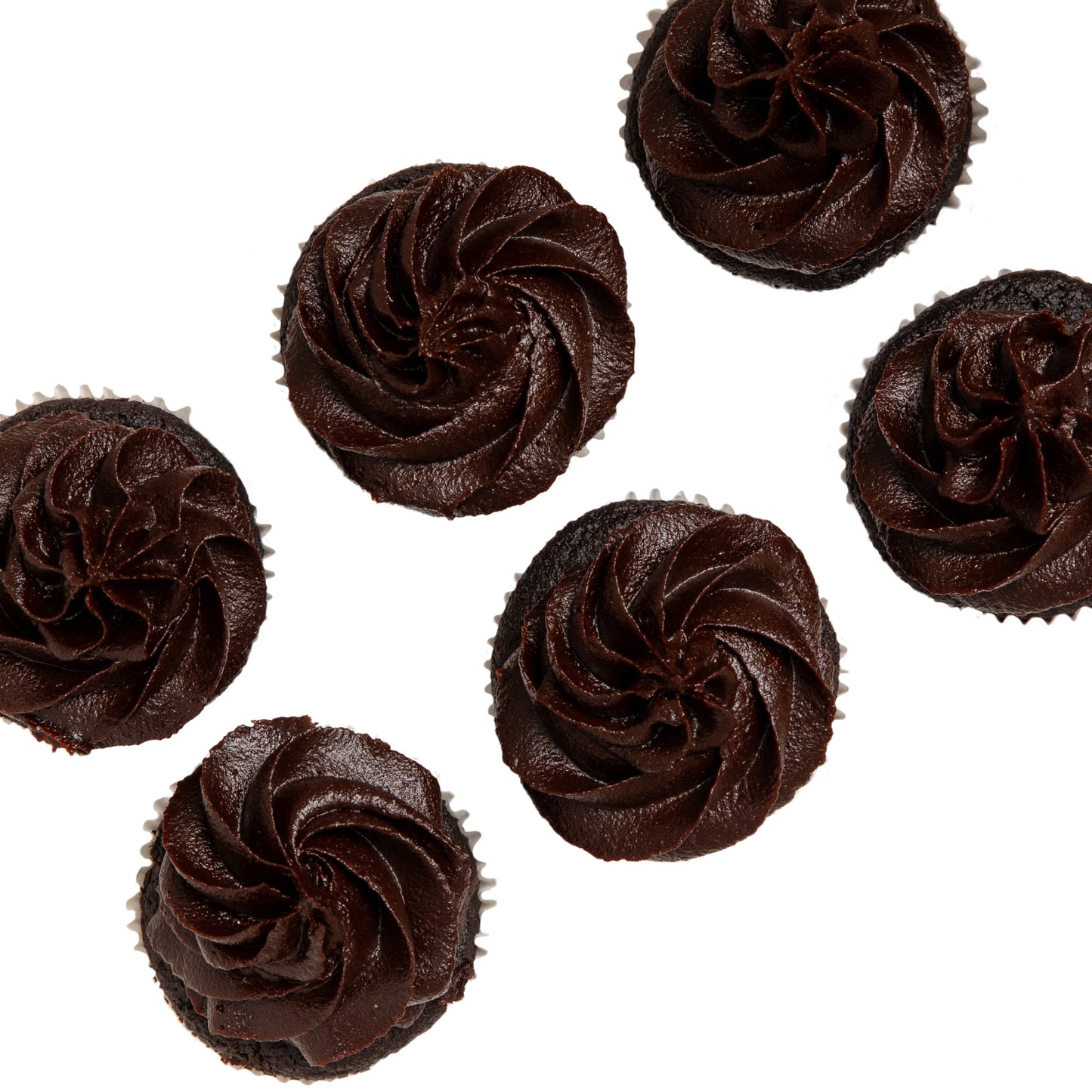 Chocolate Cupcakes